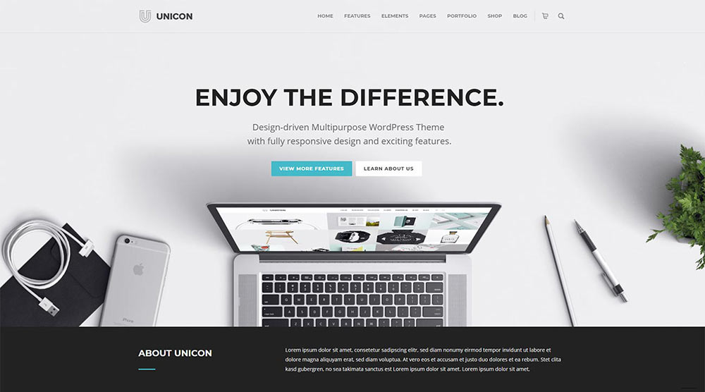 Unicon Lawyer WordPress Theme