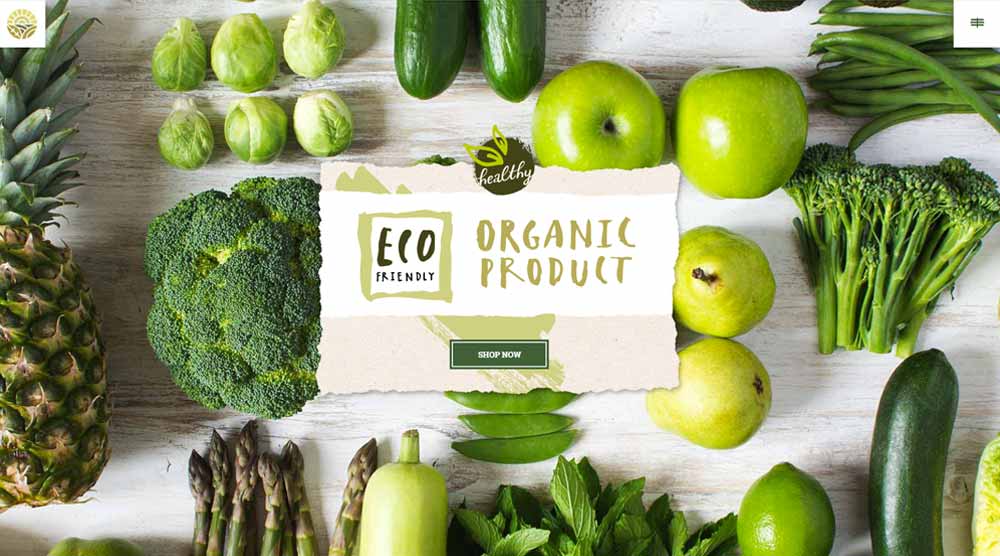 wordpress-for-organic-website