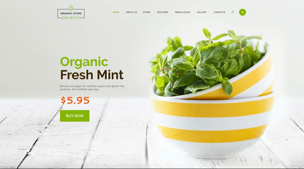 healthy-lifestyle-theme
