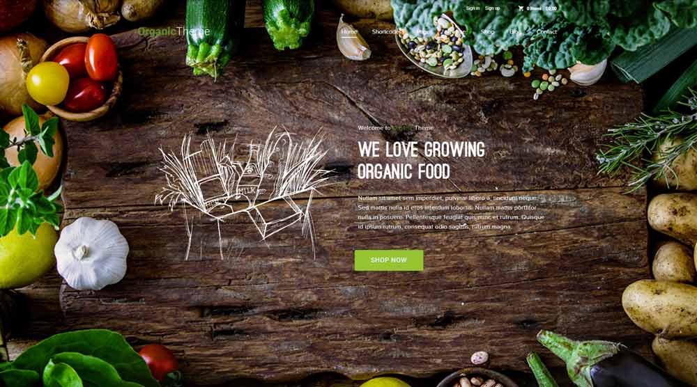 organic-food-wordpress