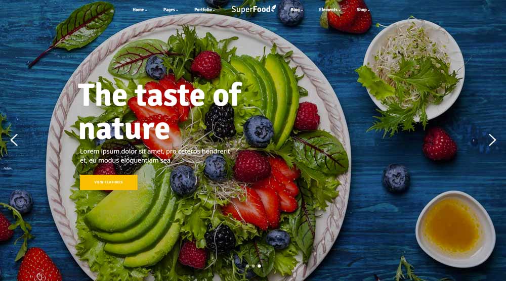 superfood-wordpress-template