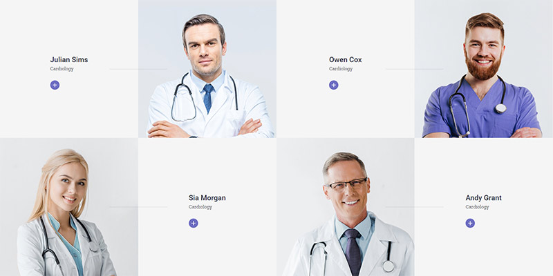 ProMedica doctors