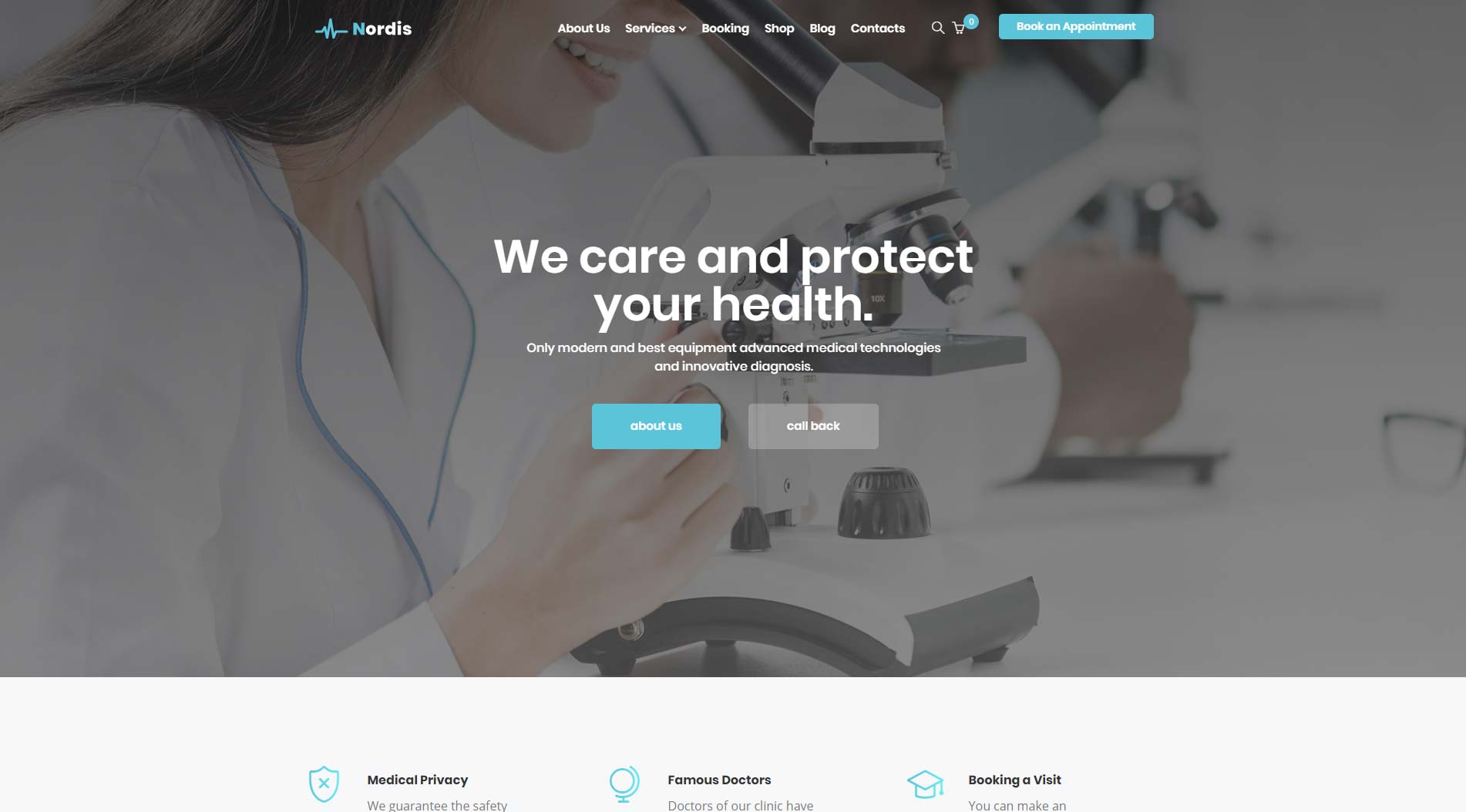 Nordis WordPress Theme