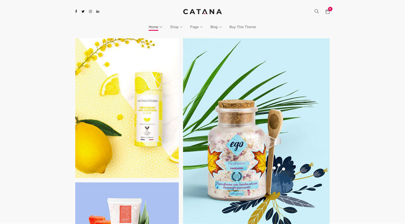 Catana WordPress Theme