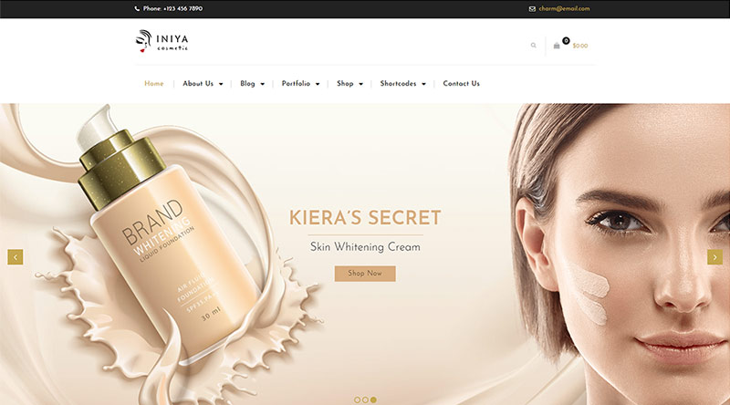 Iniya WordPress Theme