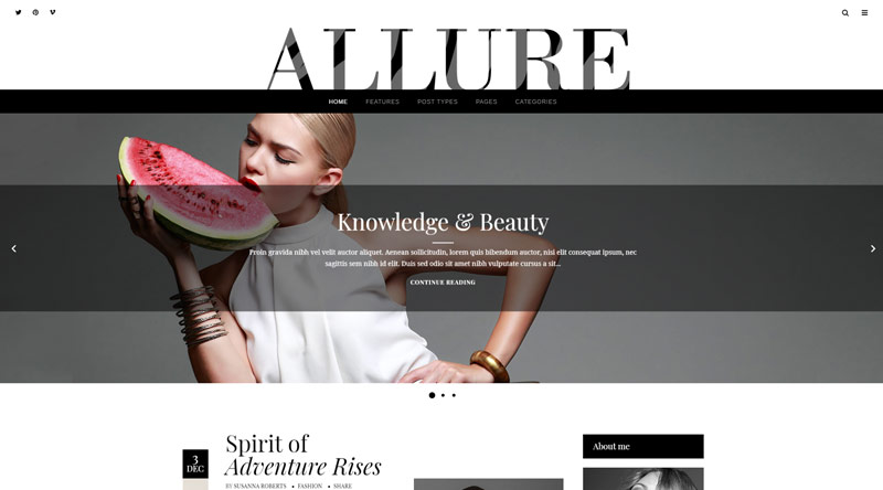 Allure WordPress Theme