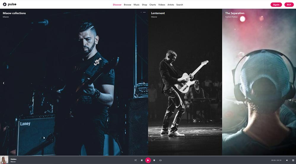 Pulse WordPress Themes