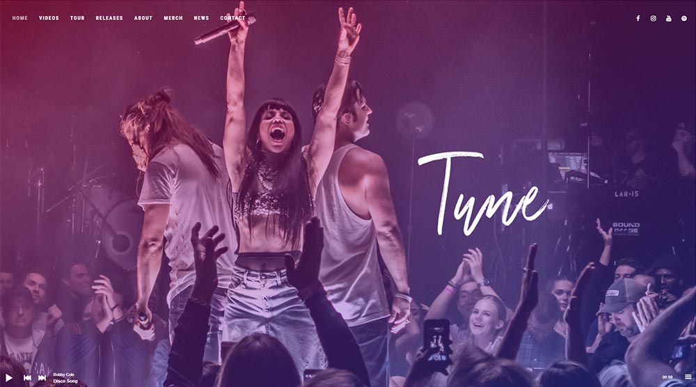 Tune WordPress Themes