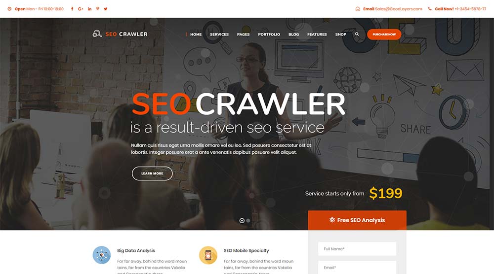 SEO Crawler WordPress Theme