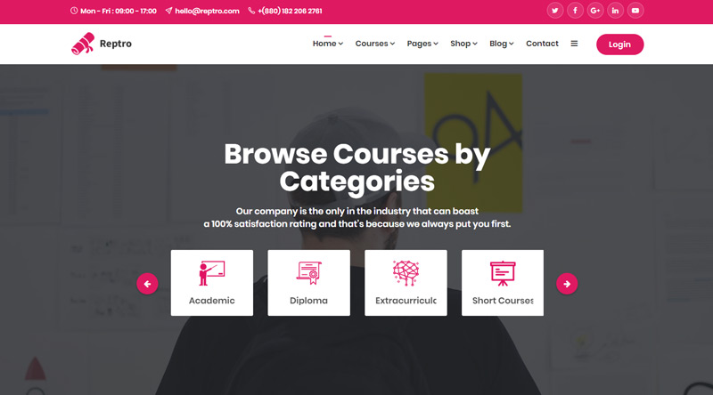Reptro WordPress Theme