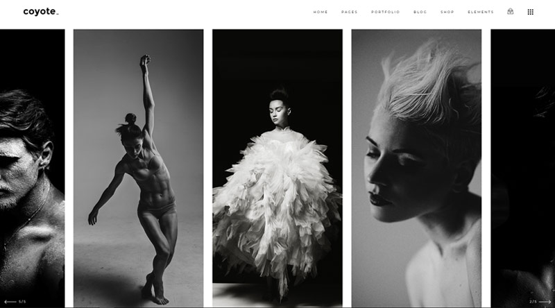 Coyote WordPress Theme