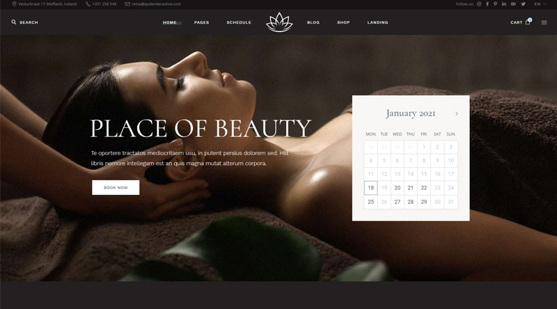 Reina Spa WordPress Theme