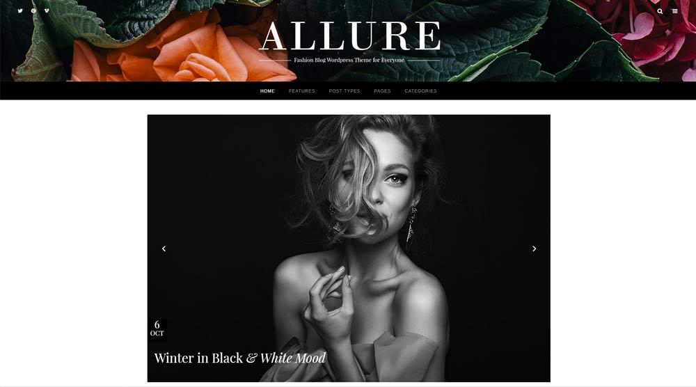 Allure WordPress Theme