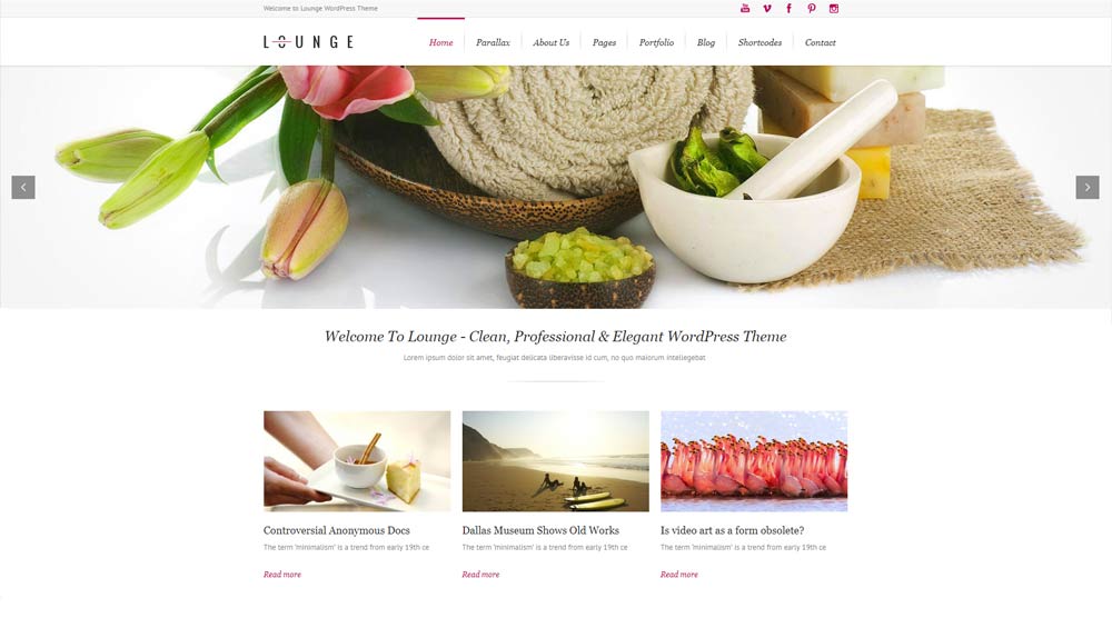 professional-wordpress-theme