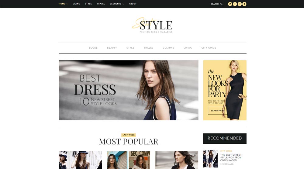 style-wordpress-theme
