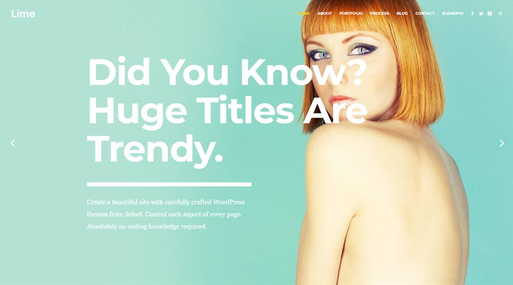 wordpress-blog