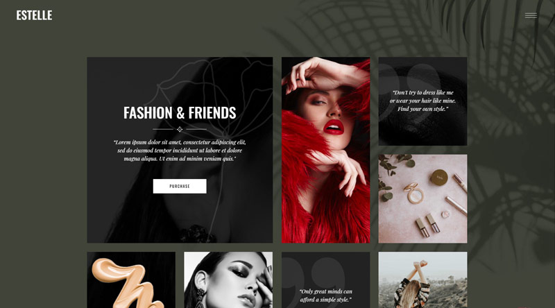 Estelle WordPress Theme