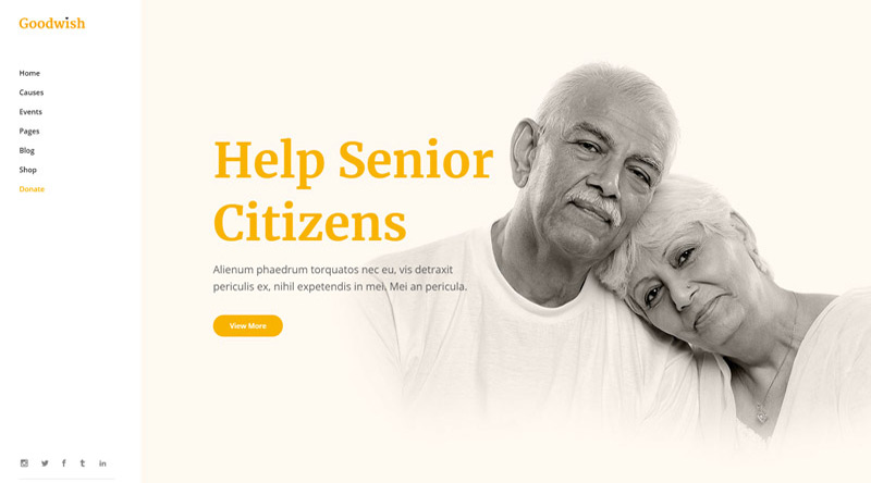 Goodwish WordPress Theme