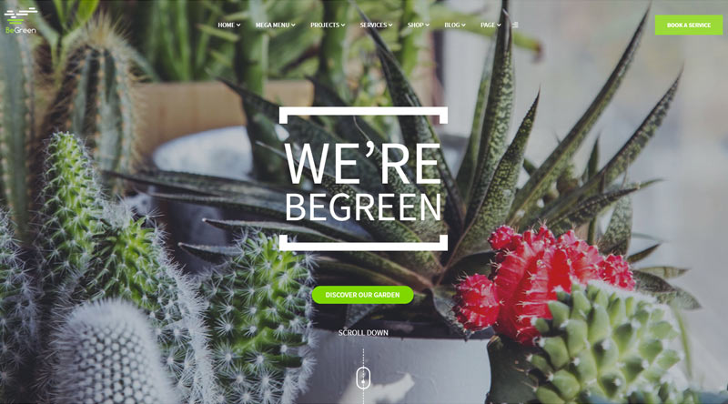 BeGreen WordPress Theme