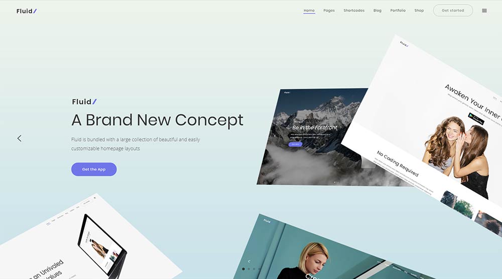 Fluid WordPress Theme
