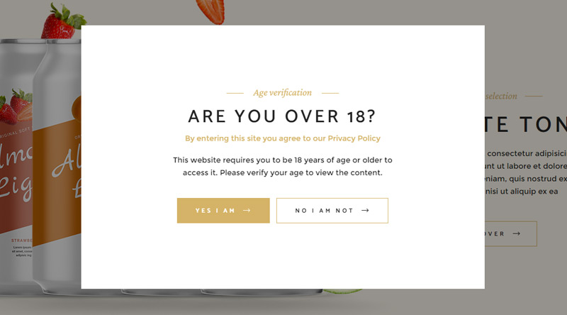 SingleMalt age verification popout