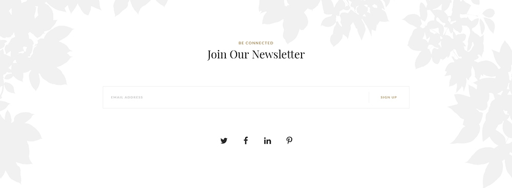 Villenoir newsletter