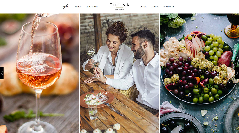 Thelma wordpress theme