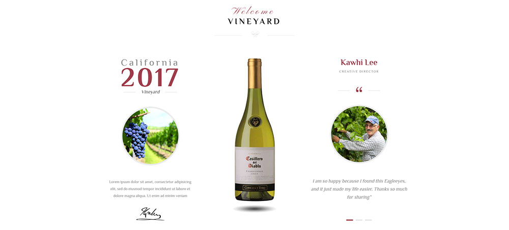 Vineyard description