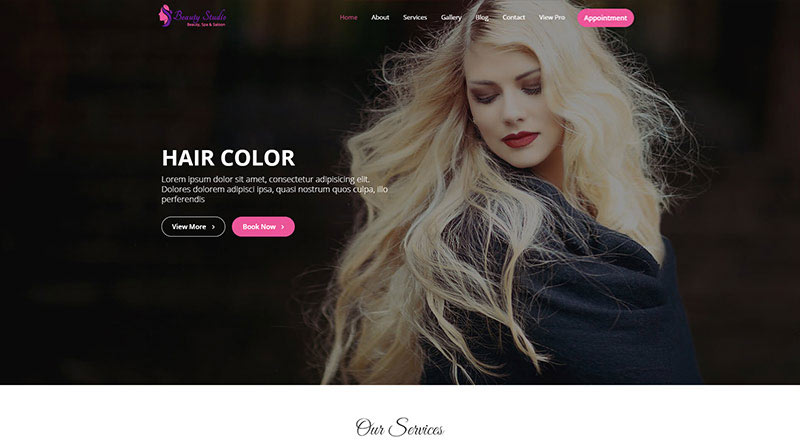 Beauty Studio WordPress Theme