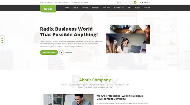 Radix Multipurpose WordPress-Theme