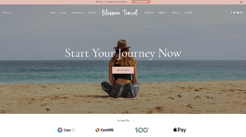 Blossom Travel Pro WordPress Theme