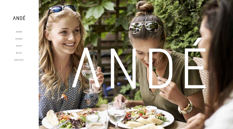 Ande WordPress theme