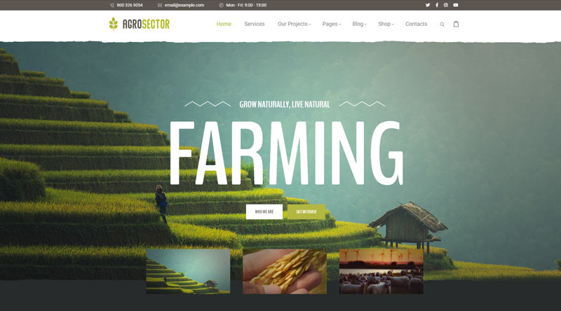 Agrosector WordPress Theme