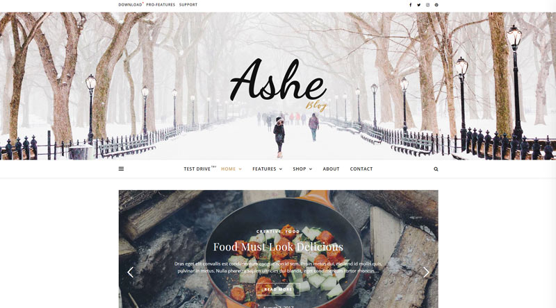 始めるための5つ以上の無料のElementorテーマ4 Ashe WordPress Theme