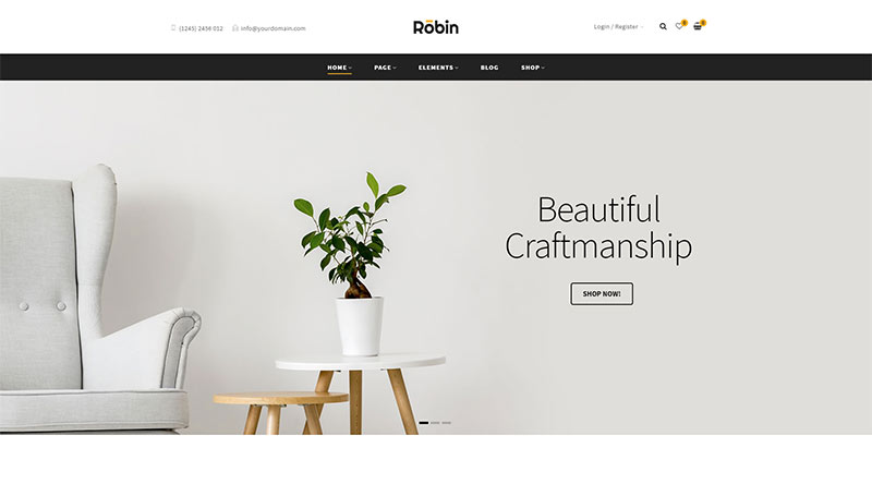 Robin WordPress Theme