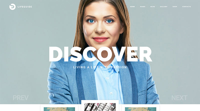 Lifeguide WordPress Theme