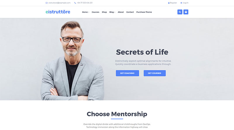 Eistruttore WordPress Theme