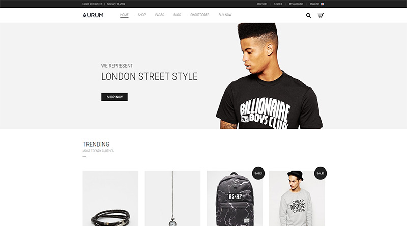 Aurum WordPress Theme