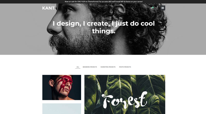 10 temas WordPress de freelancer atraentes 10 Kant WordPress Theme