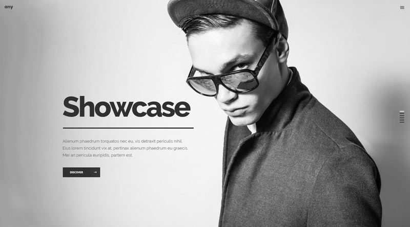 10 temas atraentes para WordPress Freelancer 2 Any WordPress Theme