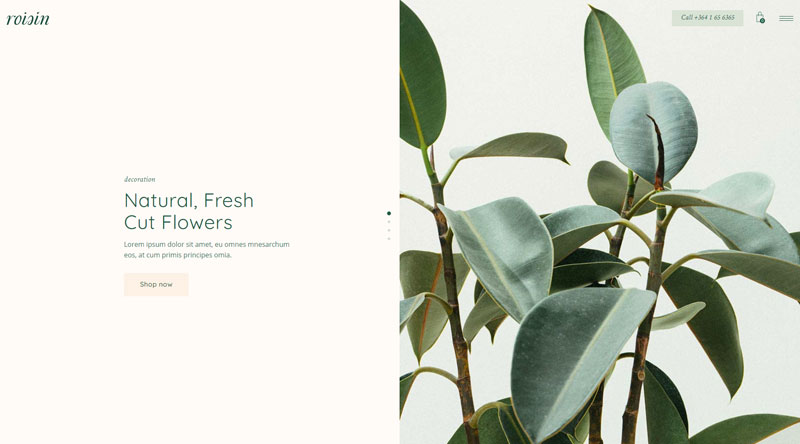 Roisin WordPress Theme
