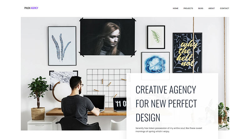 Phlox WordPress Theme