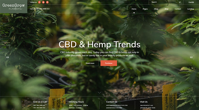 5+ Temas WordPress de Maconha Medicinal Explosiva 2 GreenGrow WordPress theme