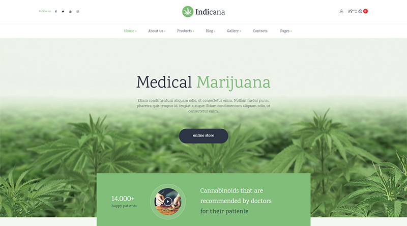 5+ Temas WordPress de Maconha Medicinal Explosiva 6 Indicana WordPress theme