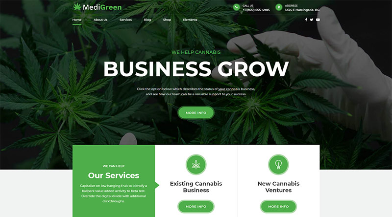 5+ Temas WordPress de Maconha Medicinal Explosiva 3 MediGreen WordPress theme