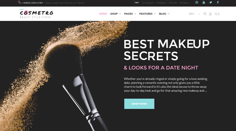 Cosmetro WordPress Theme