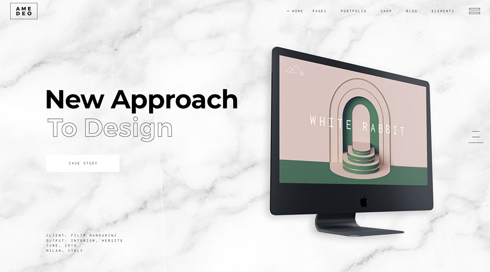 20개 이상의 최고의 아티스트 포트폴리오 Wordpress 테마 33 Amadeo WordPress Theme
