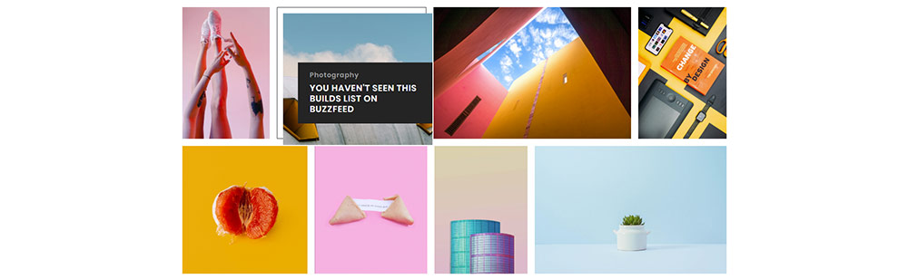 20개 이상의 최고의 아티스트 포트폴리오 Wordpress 테마 31 Rolly WordPress Theme - Portfolio List