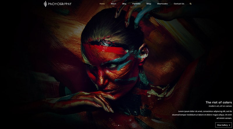20개 이상의 최고의 아티스트 포트폴리오 Wordpress 테마 45 FullScreen Artist WordPress-Theme