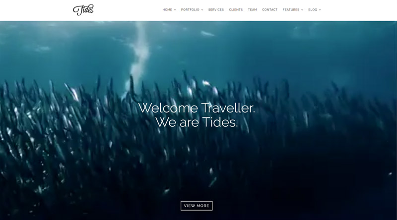 10+ ธีม WordPress พื้นหลังวิดีโอสำหรับช่องใด ๆ 12 Tidest WordPress Theme